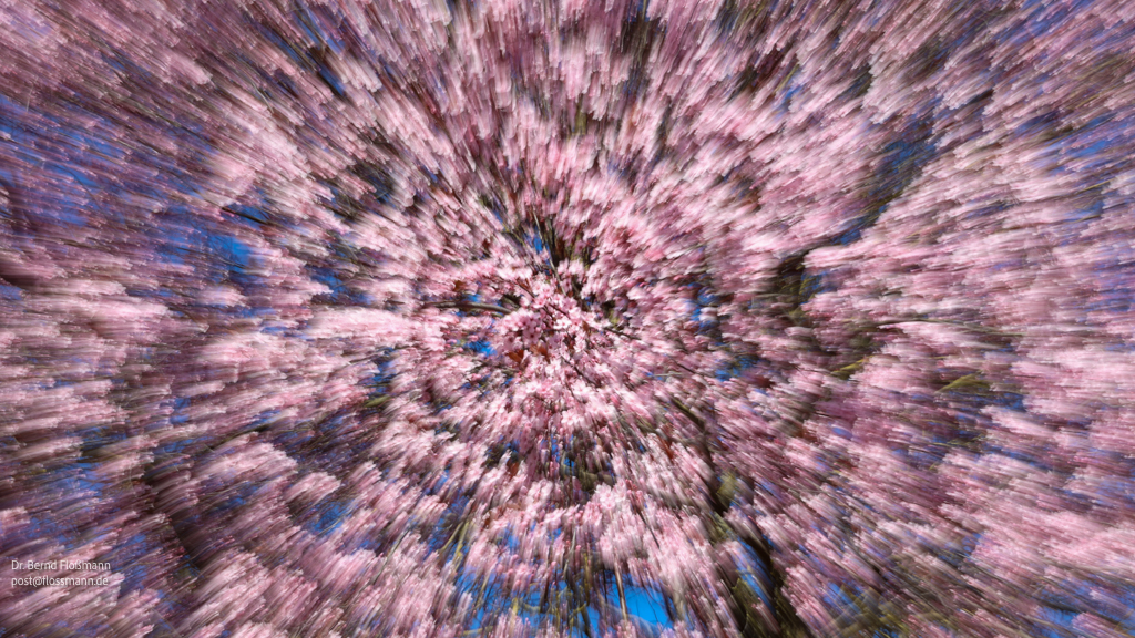 Meine Fotos