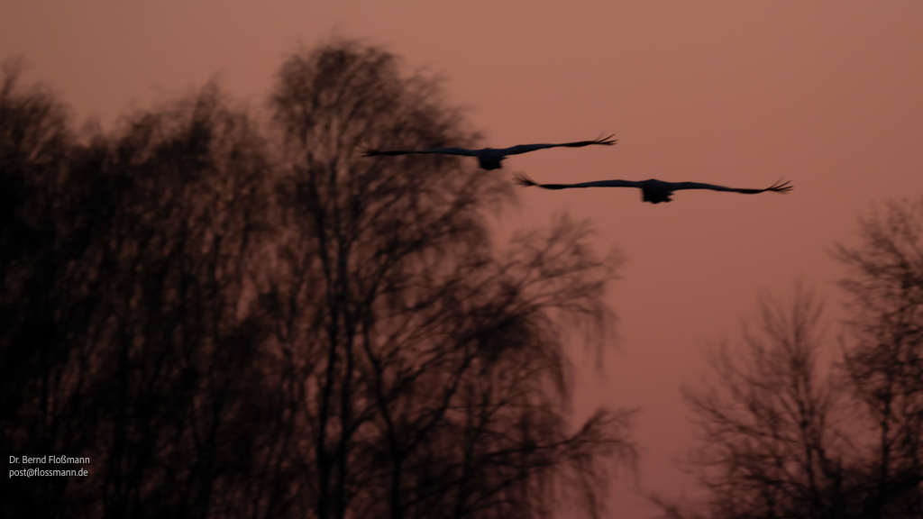 Meine Fotos